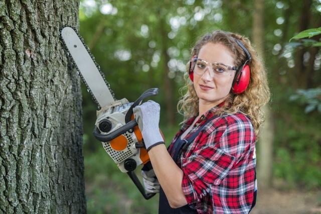 Discover the Top Major Benefits of Regular Tree Maintenance and Pruning