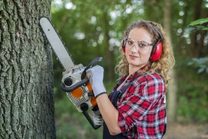Discover the Top Major Benefits of Regular Tree Maintenance and Pruning 